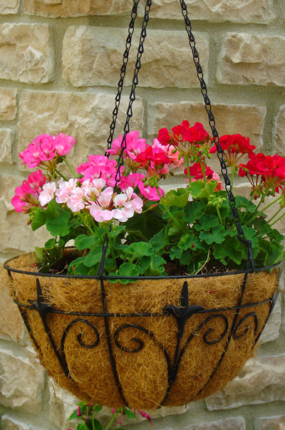 How to Cut a Hanging Basket Liner